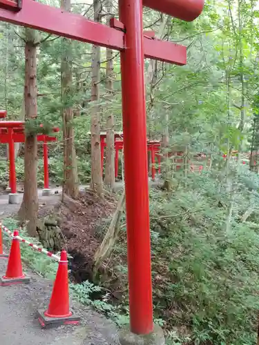 萬蔵稲荷神社の鳥居