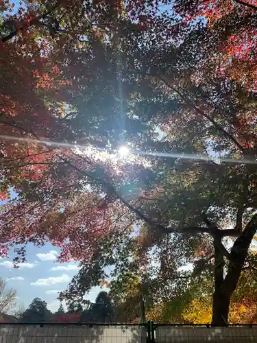 手向山八幡宮(奈良県)