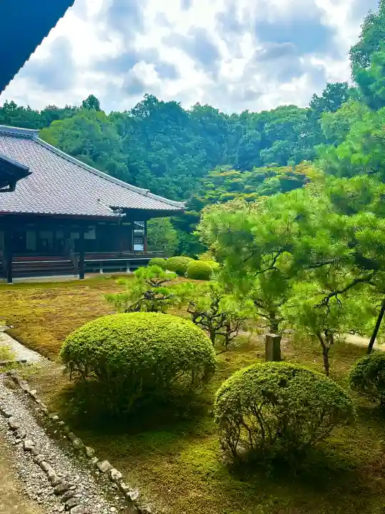 隨心院(随心院)(京都府)