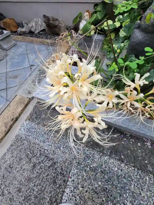 勝念寺(かましきさん)の自然