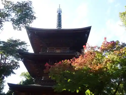 豪徳寺のその他建物
