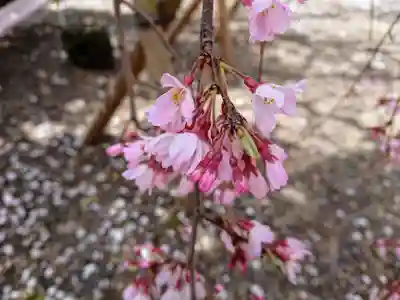 尾久八幡神社(東京都)