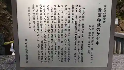 青渭神社の歴史