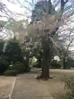 延寿院(千葉県)