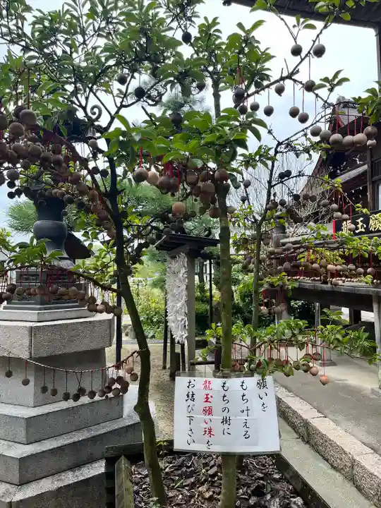 岡寺(龍蓋寺)(奈良県)