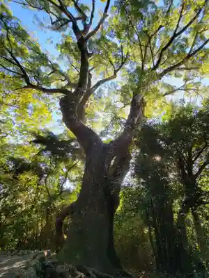 月讀宮（皇大神宮別宮）(三重県)