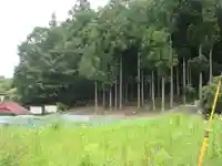 玉姫稲荷(埼玉県)