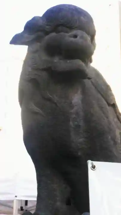 浅草神社の狛犬