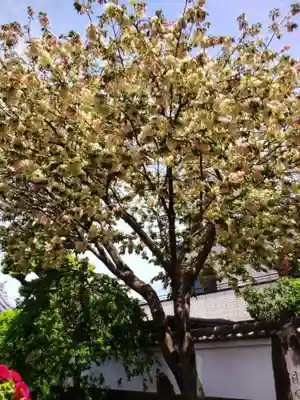 圓照寺(東京都)