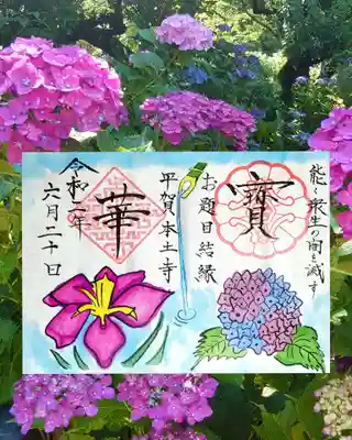 紫陽花と花菖蒲の時季限定の見開き御朱印を頂いて来ました。
書き置きのみのご準備です。