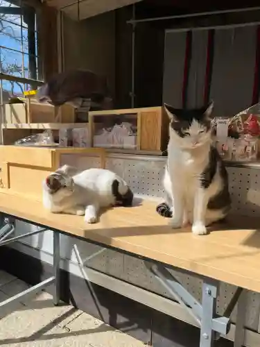 お松大権現の{uncategorized: "未分類", other: "その他", undefined: "問題あり", building: "その他建物", grave: "お墓", sacred_gate: "鳥居", guardian: "狛犬", statue: "像", buddha: "仏像", history: "歴史", nature: "自然", garden: "庭園", animal: "動物", pagoda: "塔", temizu: "手水舎", mountain_gate: "山門・神門", sanctuary: "本殿・本堂", subordinate: "末社・摂社", art: "芸術", scenery: "景色", jizo: "地蔵", ema: "絵馬", goshuin: "御朱印", omikuji: "おみくじ", items: "授与品その他", amulet: "お守り", goshuincho: "御朱印帳", eats: "食事", festival: "お祭り", votive_dance: "神楽", shichigosan: "七五三参", wedding: "結婚式", experience: "体験その他", initially: "初詣", around: "周辺", anti_infection: "感染症対策"}