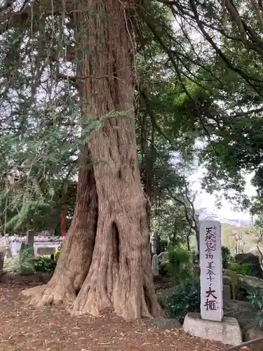 善養寺（善養密寺）(東京都)