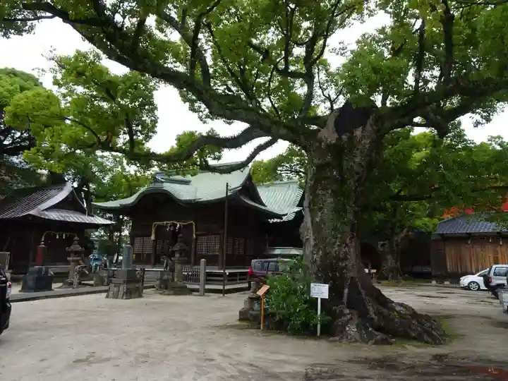 本庄神社の自然