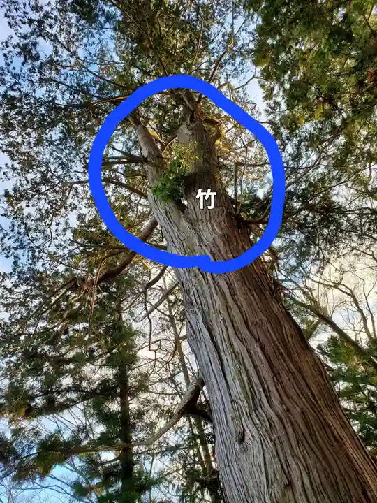 阿久津「田村神社」(郡山市阿久津町)旧社名:伊豆箱根三嶋三社(福島県)