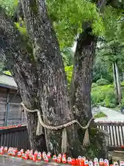 勝尾寺(大阪府)