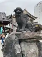浅草神社(東京都)