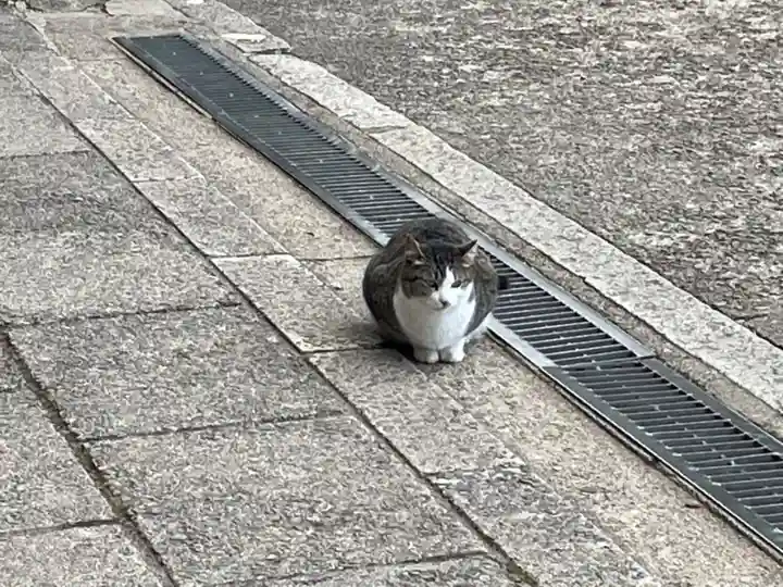 伏見稲荷大社の動物