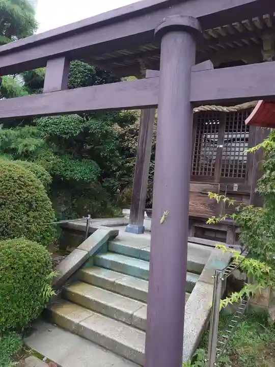 大光普照寺の鳥居