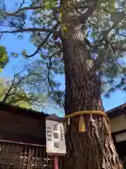 前原御嶽神社(千葉県)