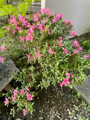 入一地蔵菩薩•入一観音菩薩(東京都)