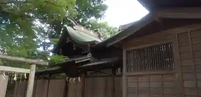 松戸神社(千葉県)