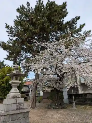八幡社　春日社合殿(愛知県)