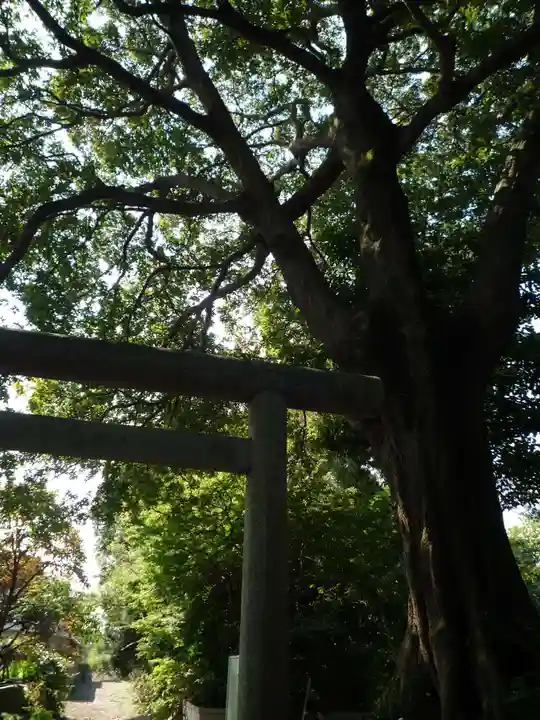 東昌寺(茨城県)