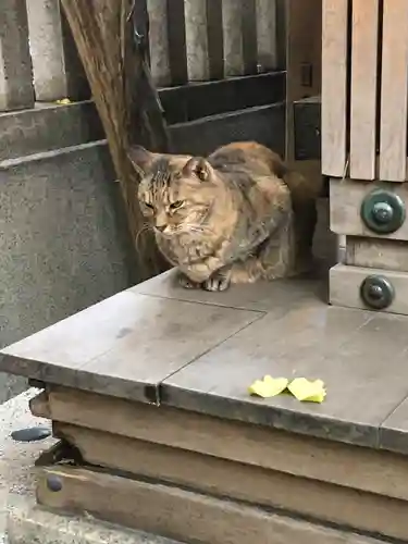小野照崎神社の動物