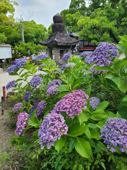 牛嶋天満宮の自然