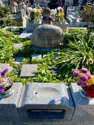 中台寺の{uncategorized: "未分類", other: "その他", undefined: "問題あり", building: "その他建物", grave: "お墓", sacred_gate: "鳥居", guardian: "狛犬", statue: "像", buddha: "仏像", history: "歴史", nature: "自然", garden: "庭園", animal: "動物", pagoda: "塔", temizu: "手水舎", mountain_gate: "山門・神門", sanctuary: "本殿・本堂", subordinate: "末社・摂社", art: "芸術", scenery: "景色", jizo: "地蔵", ema: "絵馬", goshuin: "御朱印", omikuji: "おみくじ", items: "授与品その他", amulet: "お守り", goshuincho: "御朱印帳", eats: "食事", festival: "お祭り", votive_dance: "神楽", shichigosan: "七五三参", wedding: "結婚式", experience: "体験その他", initially: "初詣", around: "周辺", anti_infection: "感染症対策"}