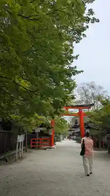 賀茂御祖神社（下鴨神社）(京都府)