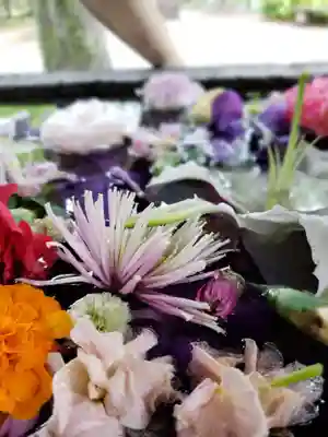 鳩森八幡神社の手水舎