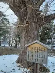 松岩寺の自然