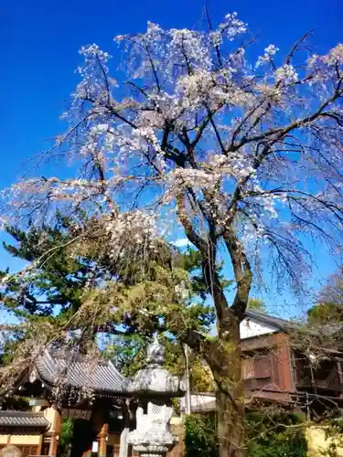 玄国寺(東京都)