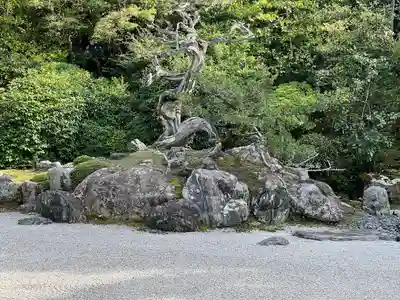 金地院(京都府)