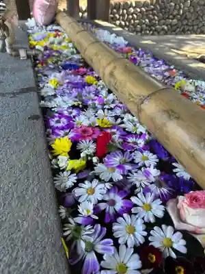 群馬県護国神社(群馬県)