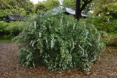海龍王寺(奈良県)
