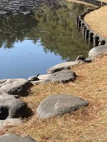 江田神社(宮崎県)