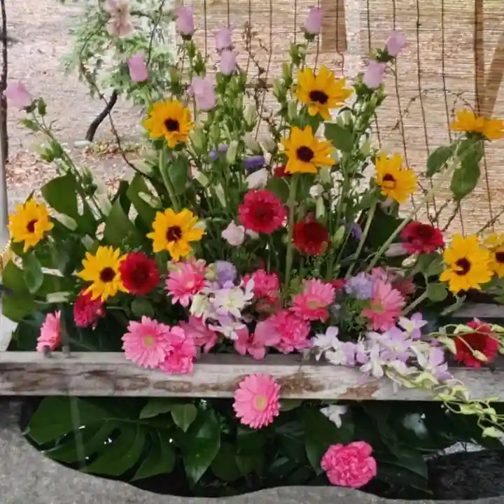 彌彦神社 (伊夜日子神社)の手水舎