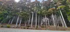 太白山生出森八幡神社（岳宮）の自然