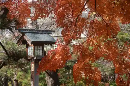 開成山大神宮の自然