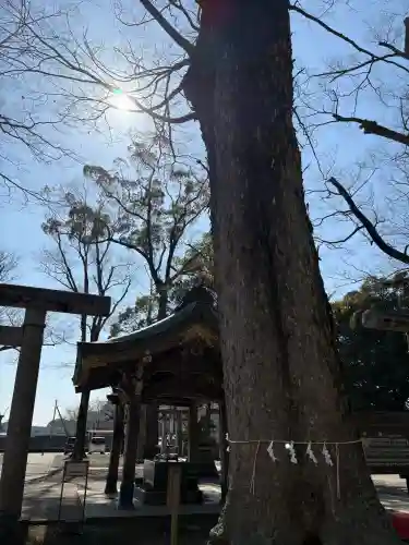 一言主神社の{uncategorized: "未分類", other: "その他", undefined: "問題あり", building: "その他建物", grave: "お墓", sacred_gate: "鳥居", guardian: "狛犬", statue: "像", buddha: "仏像", history: "歴史", nature: "自然", garden: "庭園", animal: "動物", pagoda: "塔", temizu: "手水舎", mountain_gate: "山門・神門", sanctuary: "本殿・本堂", subordinate: "末社・摂社", art: "芸術", scenery: "景色", jizo: "地蔵", ema: "絵馬", goshuin: "御朱印", omikuji: "おみくじ", items: "授与品その他", amulet: "お守り", goshuincho: "御朱印帳", eats: "食事", festival: "お祭り", votive_dance: "神楽", shichigosan: "七五三参", wedding: "結婚式", experience: "体験その他", initially: "初詣", around: "周辺", anti_infection: "感染症対策"}