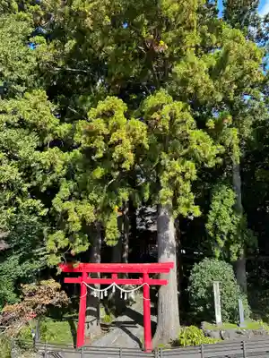須山浅間神社(静岡県)