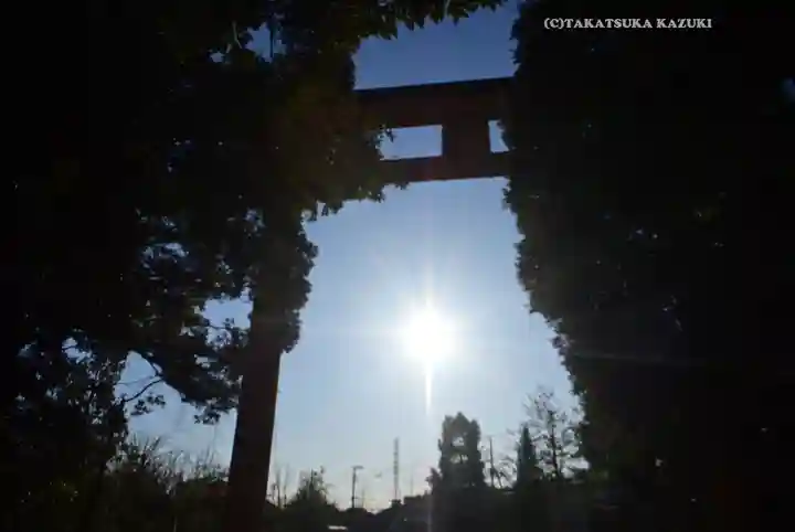 川越氷川神社(埼玉県)