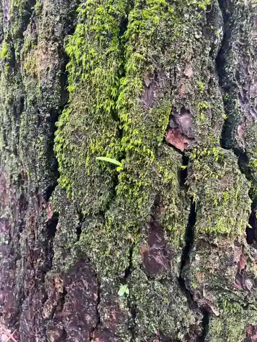 三輪神社(岐阜県)