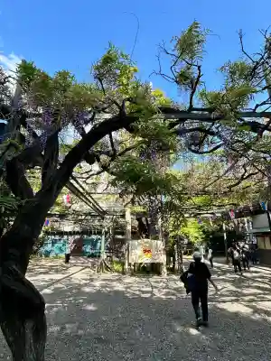 國領神社(東京都)