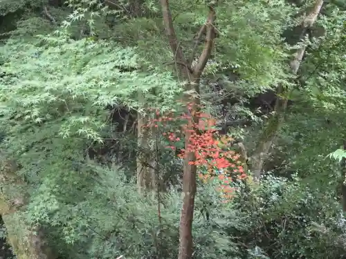 神峯山寺(大阪府)