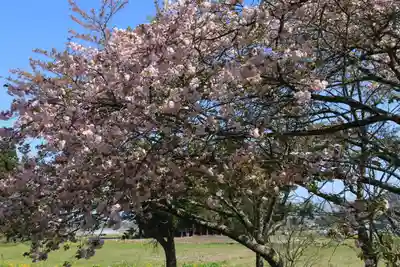 御札神社の周辺