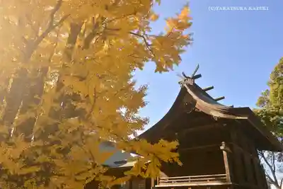 葛飾八幡宮の本殿・本堂