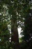 大栄神社(埼玉県)